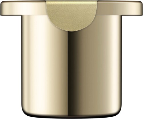 En guldfärgad, glänsande cylindrisk objekt med en platt topp och rund botten. Ser ut som en liten behållare eller knapp.