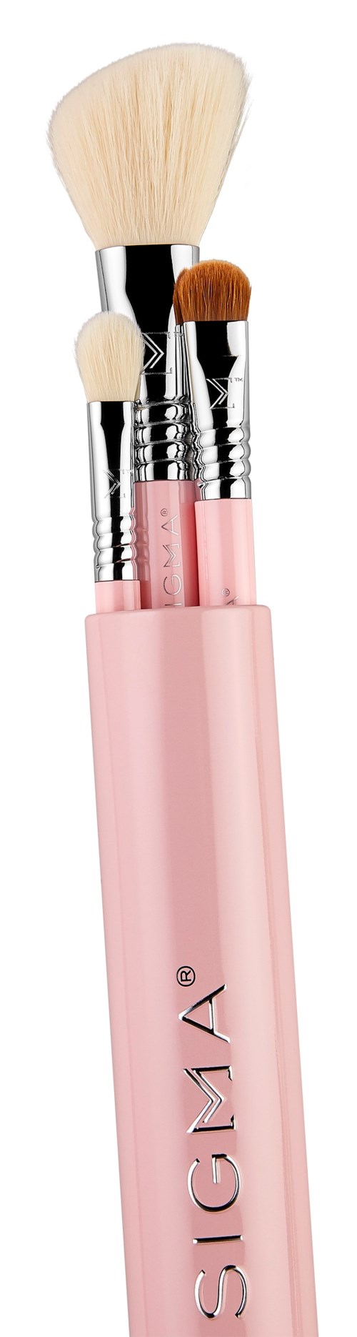 Ein rosa Pinselhalter mit vier Make-up-Pinseln unterschiedlicher Größe und Form.