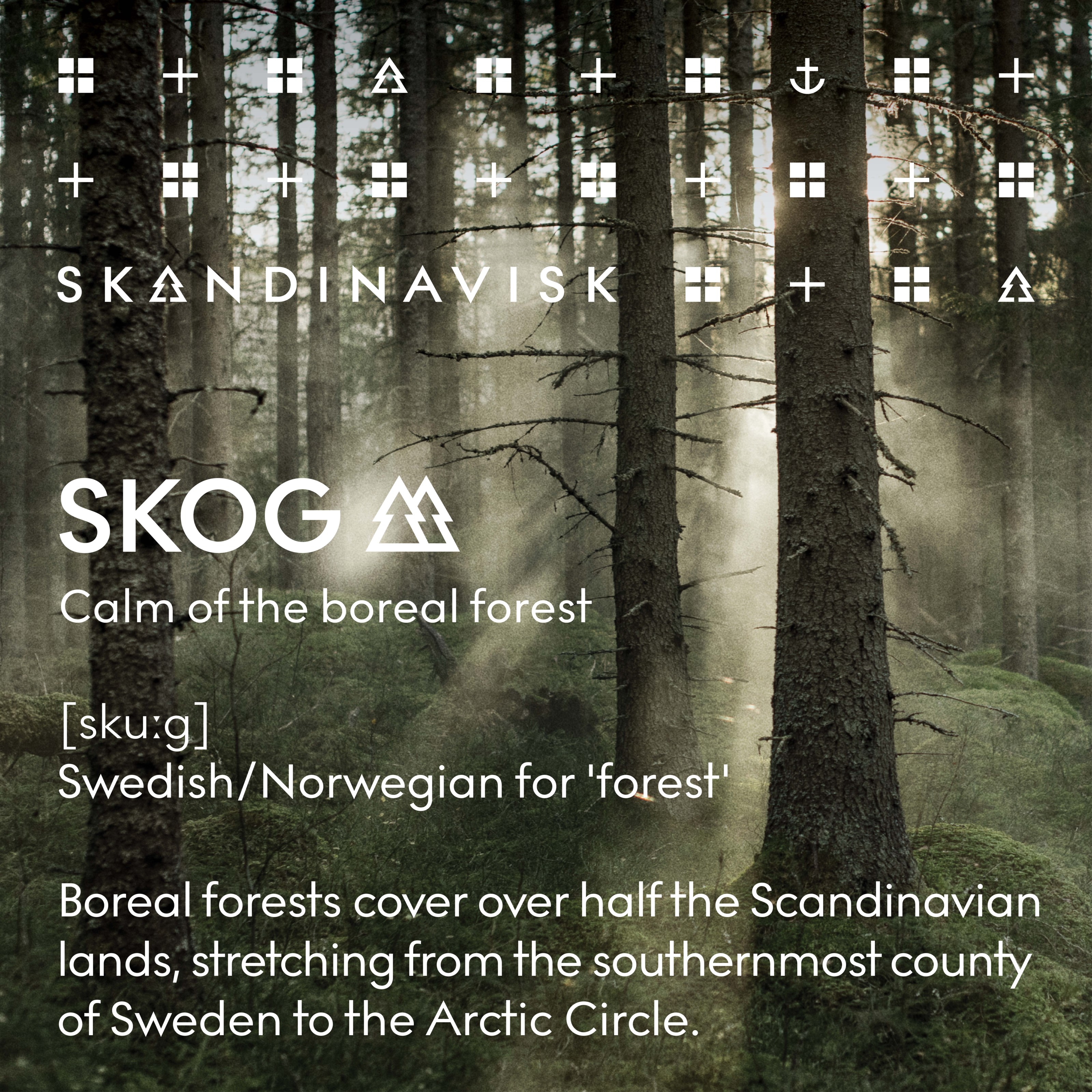 Skandinavisk SKOG Home Collection Scented Candle 65 g (obrázok 8)