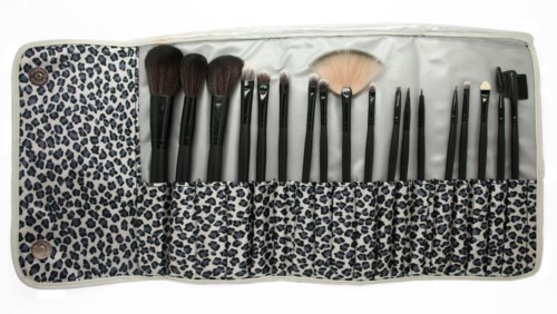 En makeupborstset i ett leopardmönstrat fodral, olika storlekar och former för olika makeupbehov.