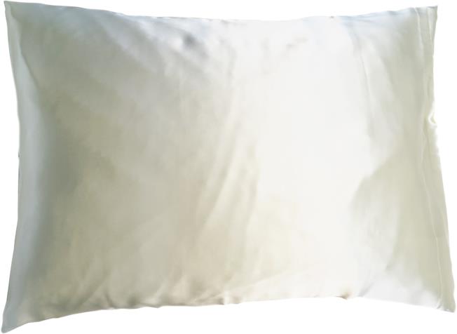 Soft Cloud Mulberry silk pillowcase 50x60 cm champagne