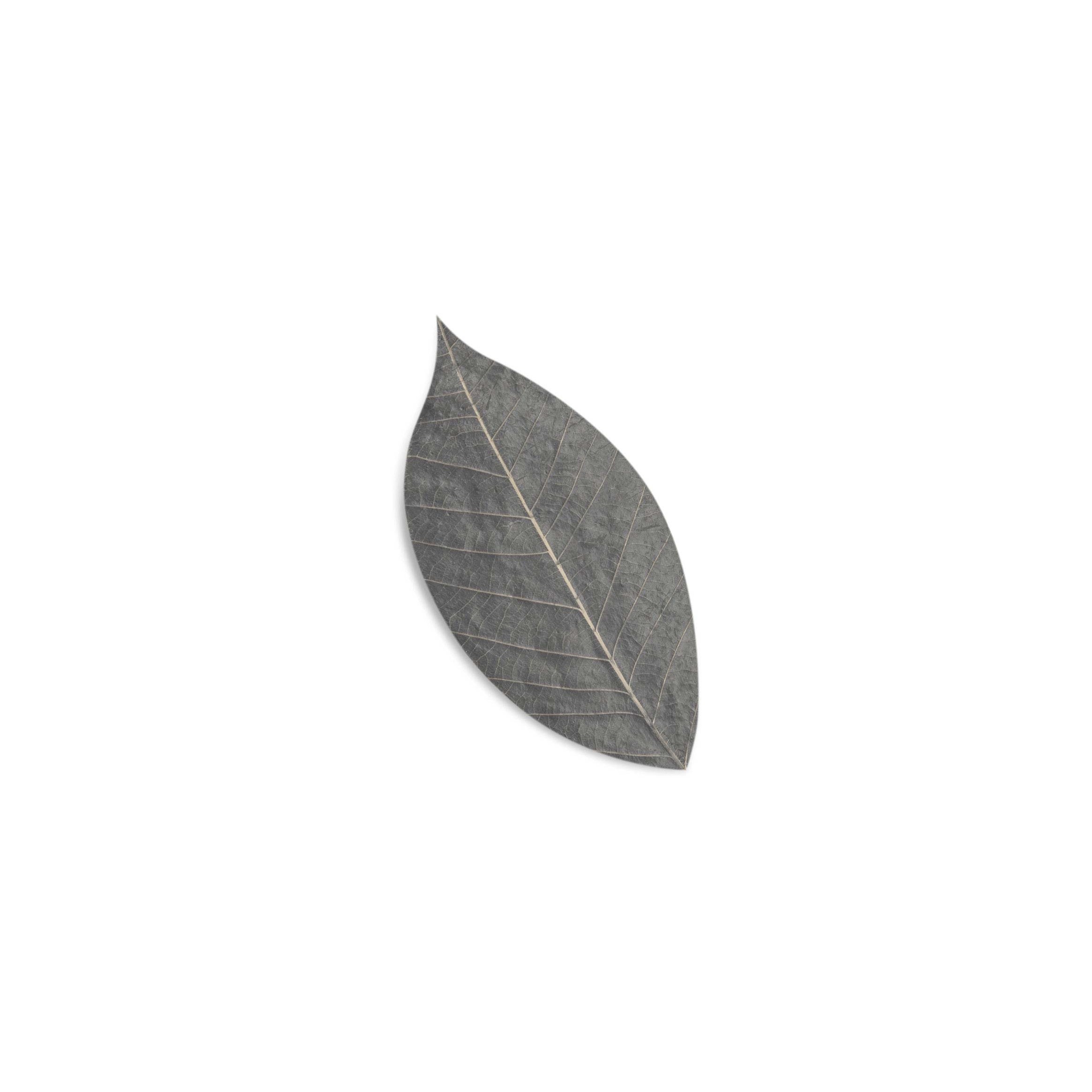 Stone Soap Spa Soap Leaves Charcoal