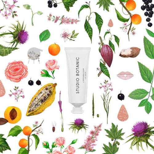 STUDIO BOTANIC Lip Balm 15 ml