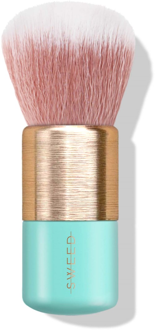 En sminkebørste med rosa bust, gullfeste og blå håndtak merket STYLECC.