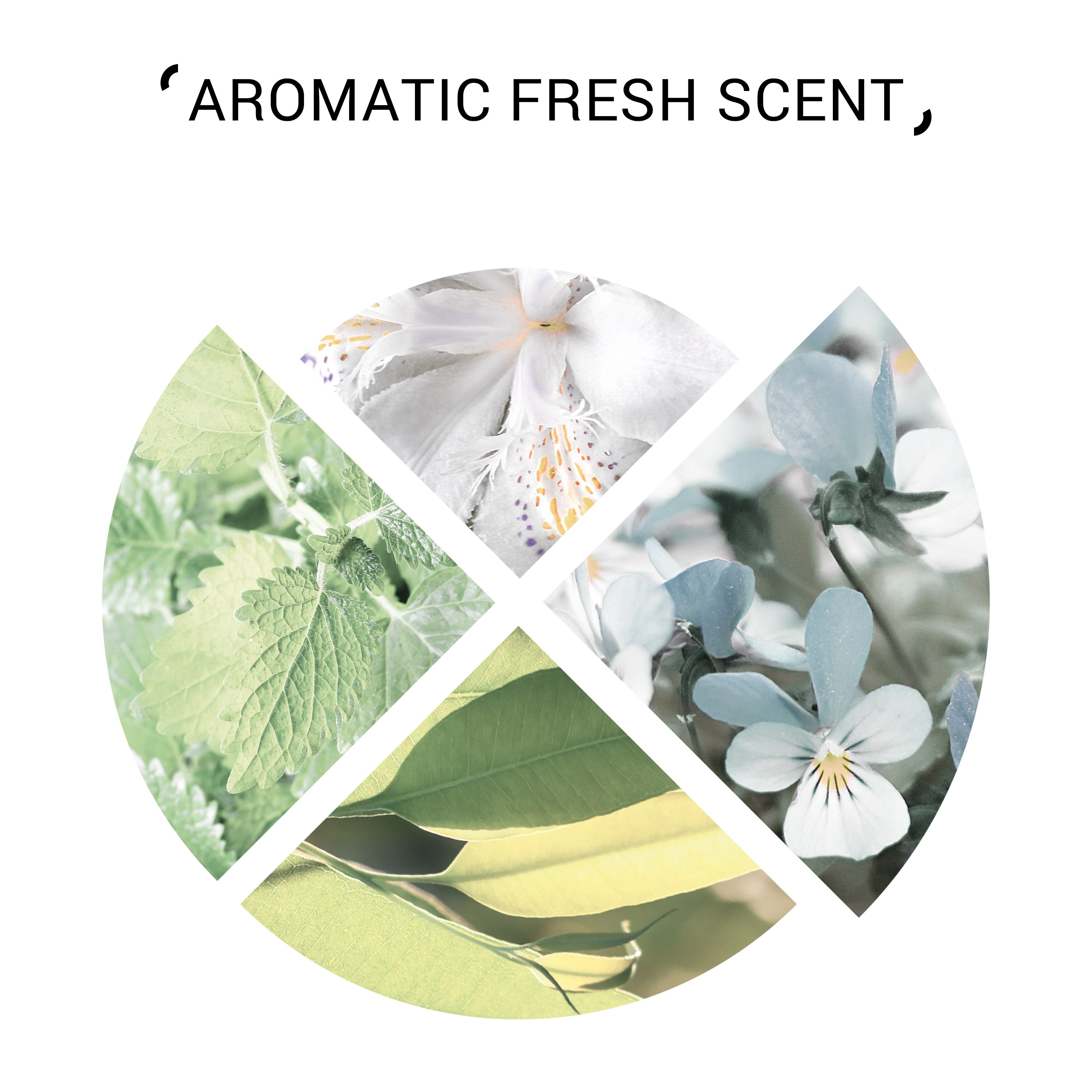 System Professional Purify Szampon do włosów 150 ml (obrázok 7)