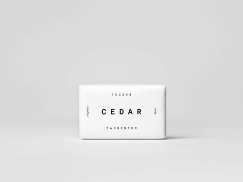 A white box with black text labeled 'CEDAR' in the center on a plain background.