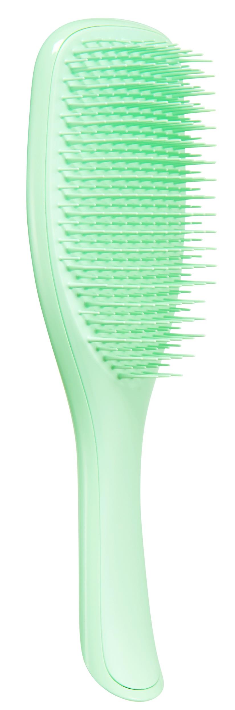 Tangle Teezer The Wet Detangler