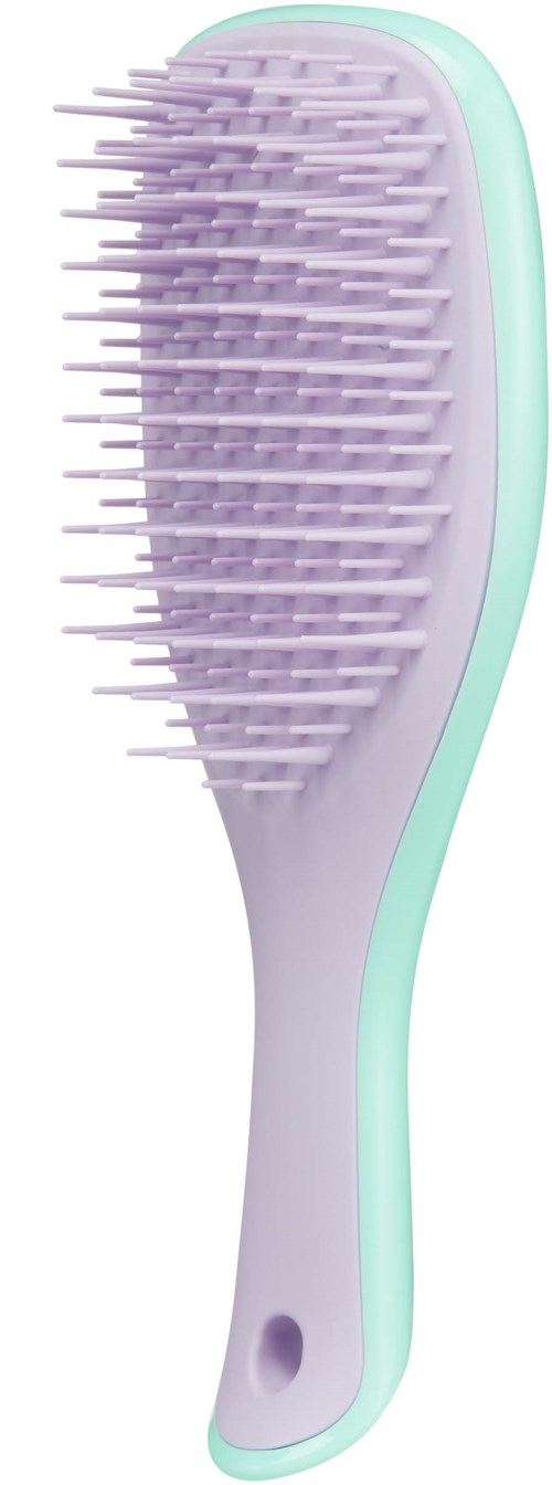 Tangle Teezer The Wet Detangler Mini