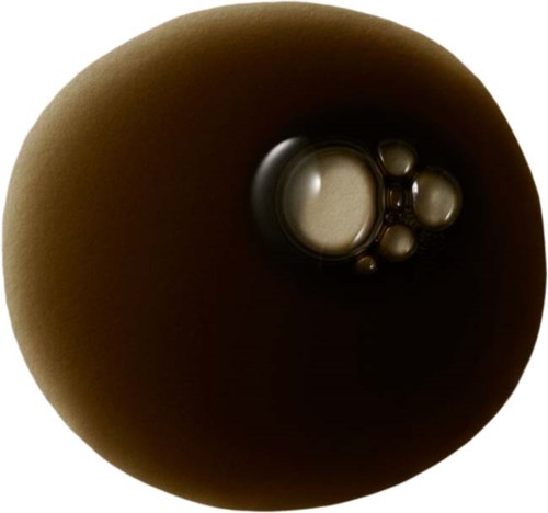 A dark brown round object with small bubbles on its surface, possibly a chocolate truffle or similar treat.