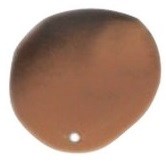 the Balm BalmShelter Tinted Moisturizer Spf 18 After Dark