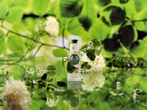 En vit flaska med grön och guldetikett placerad bland vita blommor och gröna blad, reflekterande i vattnet.
