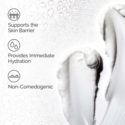 The Ordinary   Natural Moisturizing Factors + HA  100 ml