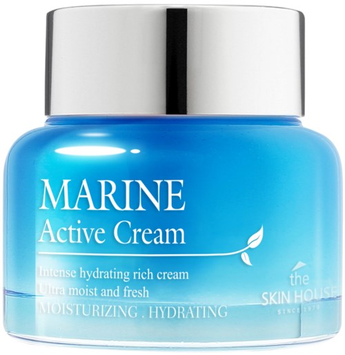 Blå burk med Marine Active Cream och silverlock. Det är en ansiktskräm för fukt och friskhet.