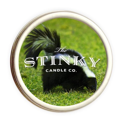 En skunk med en fluffy svans och svartvit päls på gräset. Loggan säger 'The Stinky Candle Co.'