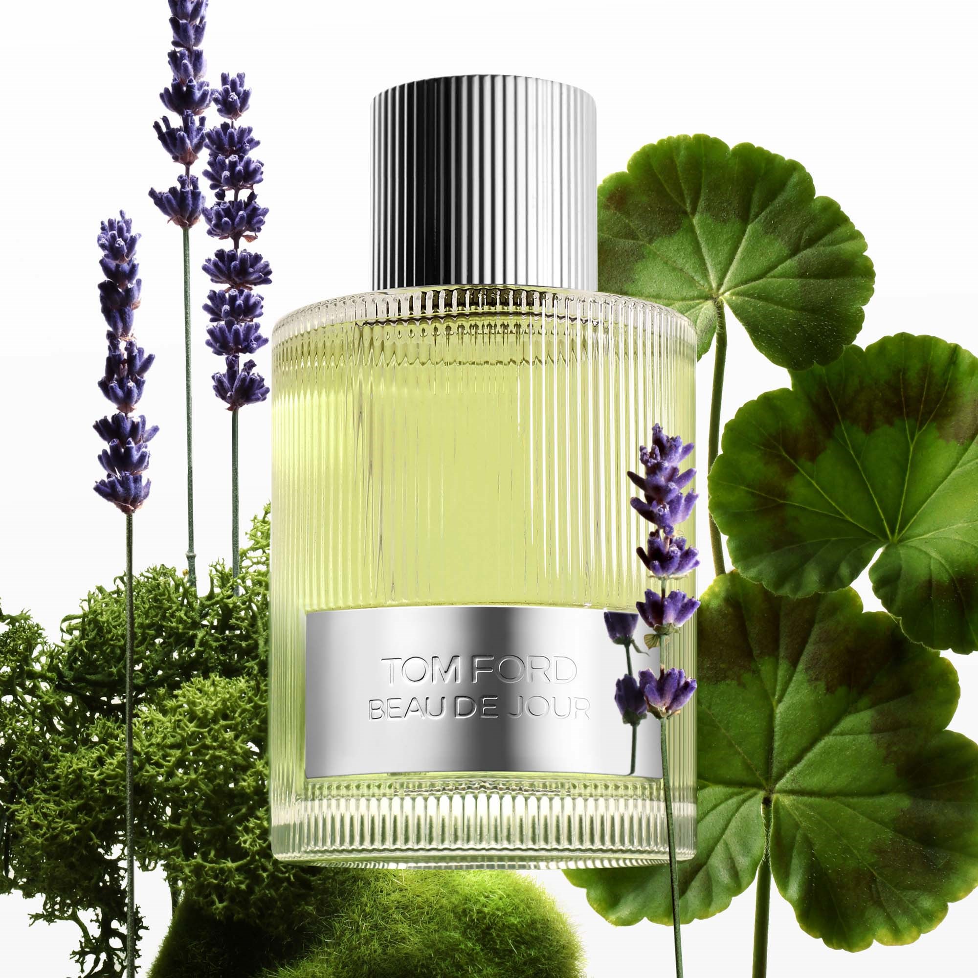 TOM FORD Beau de Jour Eau de Parfum 100 ml (obrázok 3)
