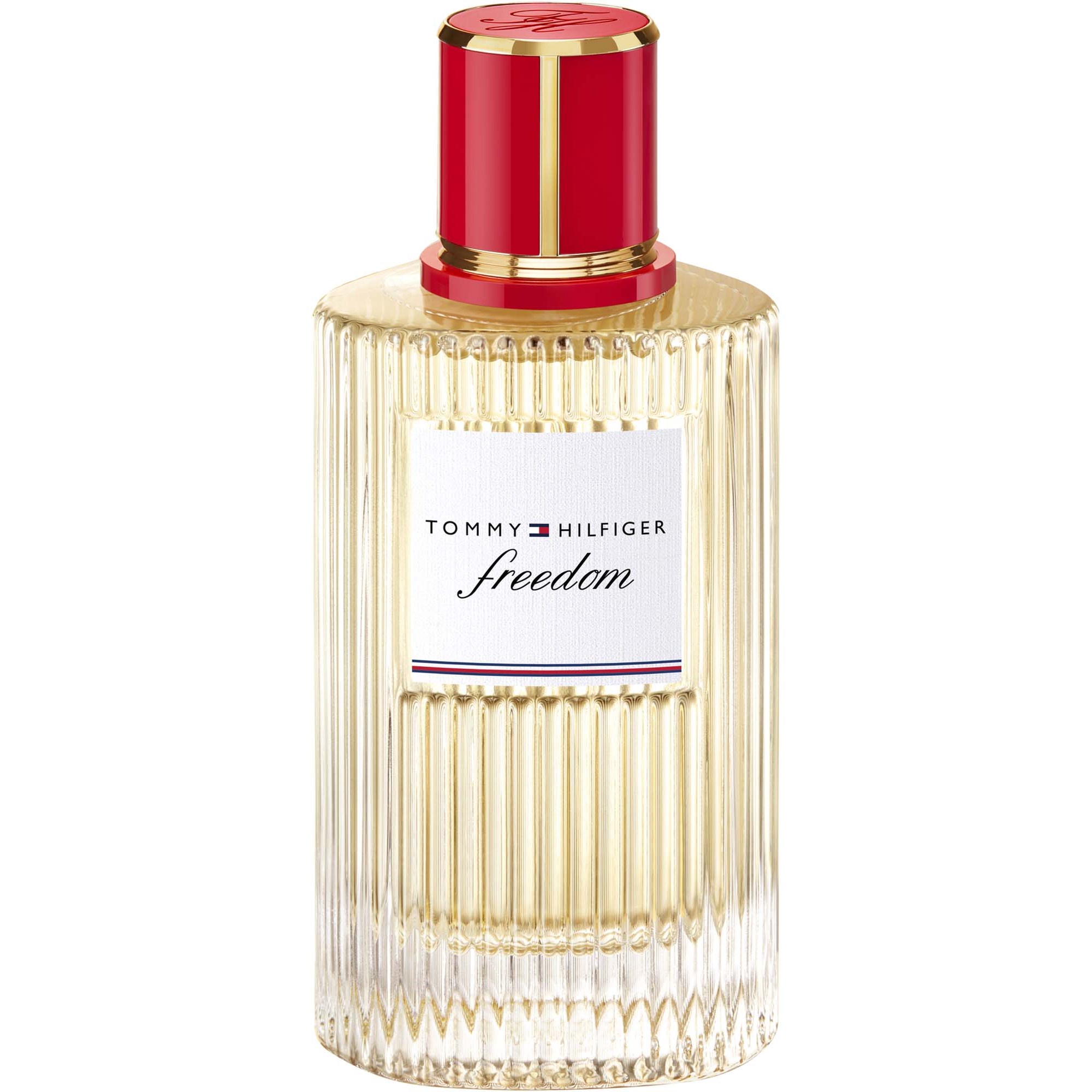 Tommy Hilfiger Freedom Eau de Parfum 100 ml