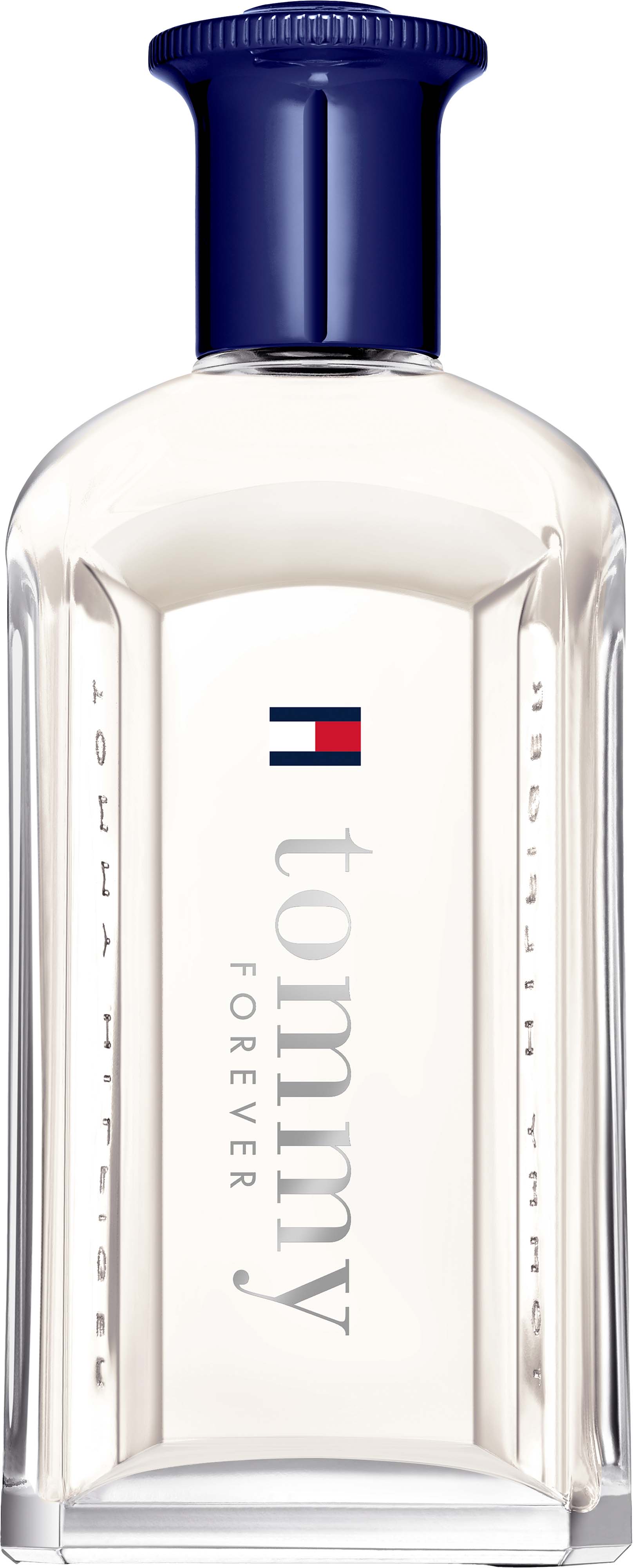 Tommy Hilfiger Tommy Forever Eau de Toilette 100 ml