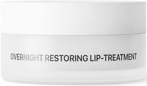 NICHE BEAUTY LAB Transparent Lab Overnight Restoring Lip-Treatment 15 ml