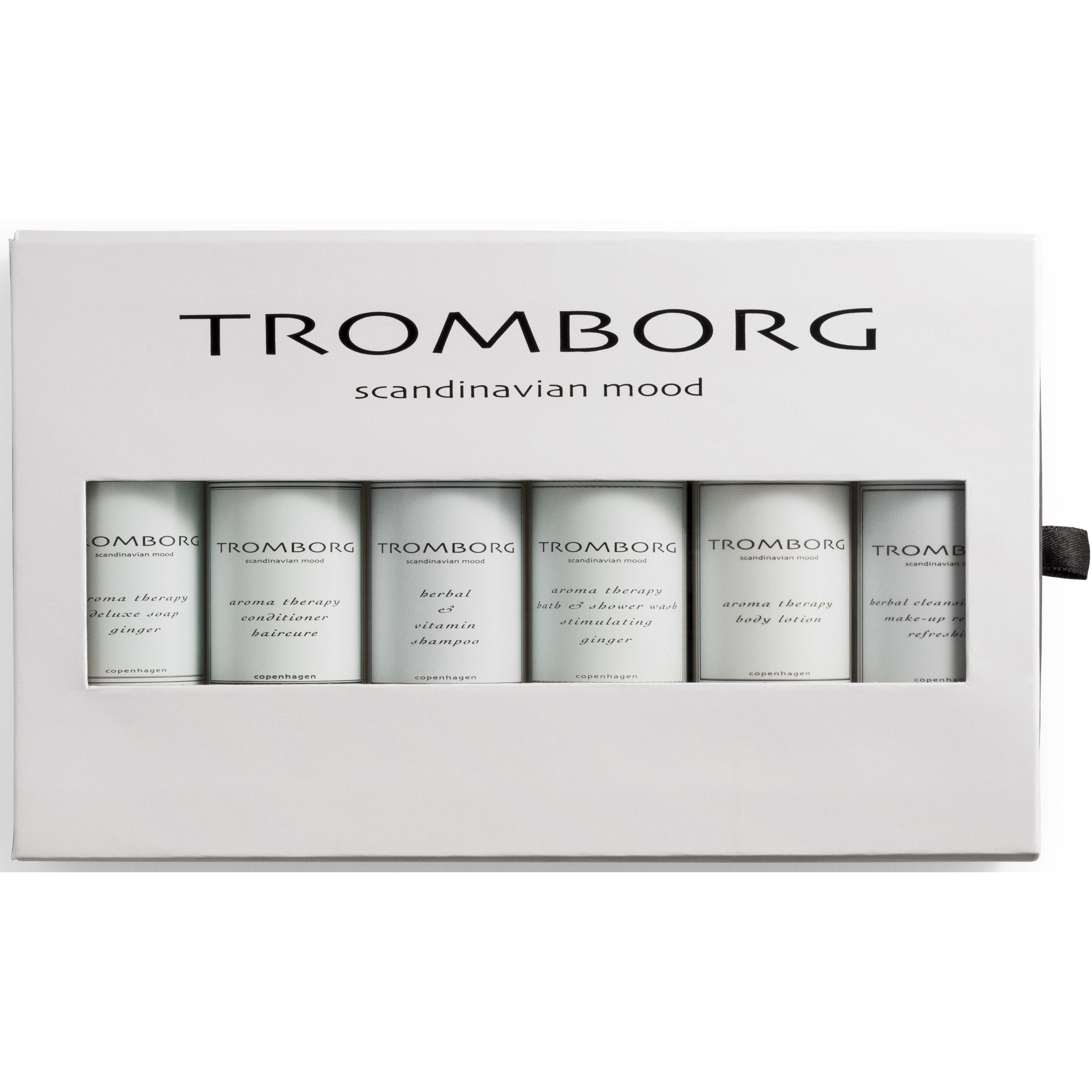 Läs mer om Tromborg Travel Kit 650 ml