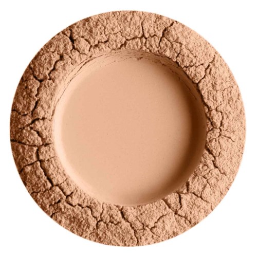 En rund, tekstureret, revnet overflade omgivet af en glat, beige midt.