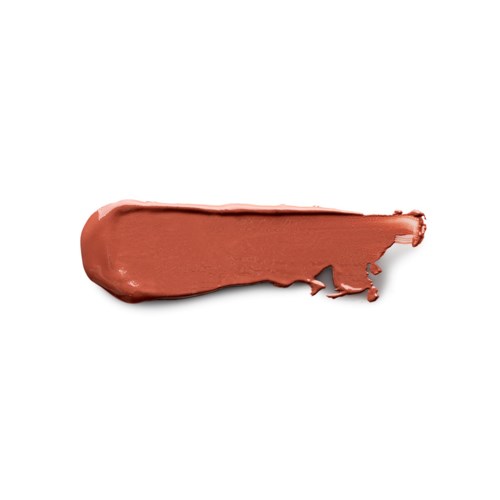 A reddish-brown paint smear on a white background.