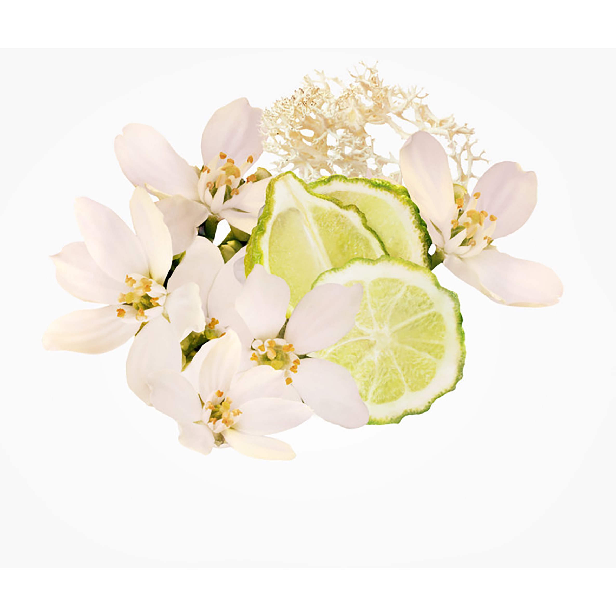 Valentino Voce Viva Eau De Parfum 50 ml (obrázok 10)