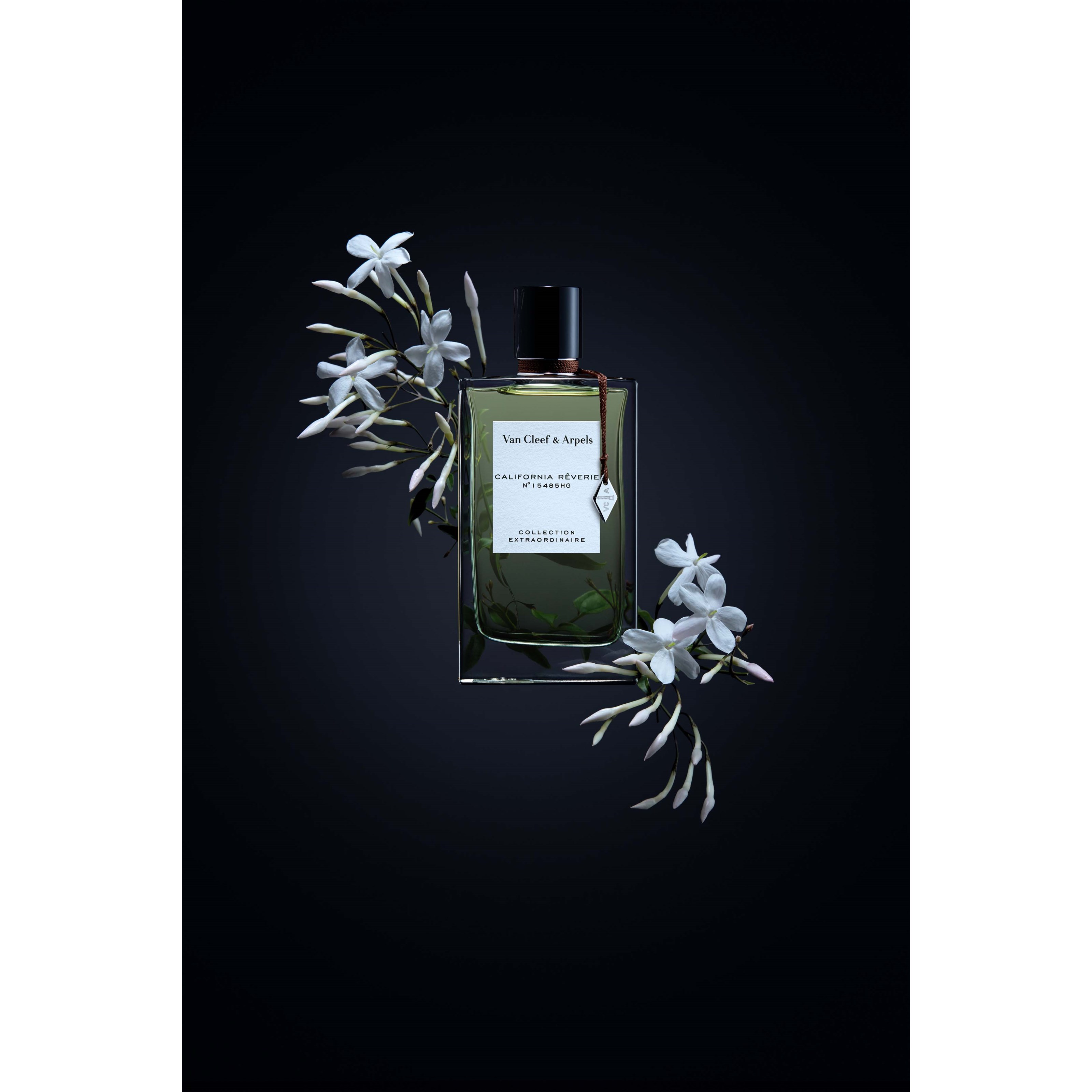 Van Cleef & Arpels California Reverie (obrázok 4)