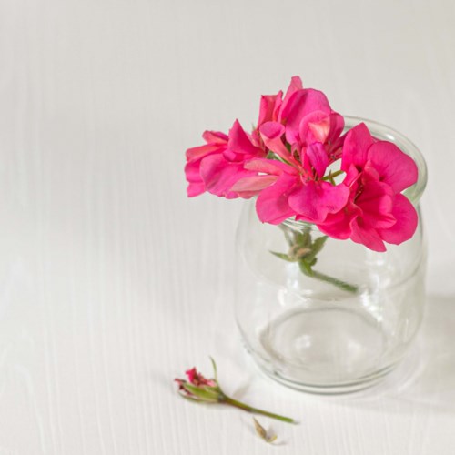 Lys rosa blomster i en glasskrukke på en hvit overflate med en liten blomst ved siden av.