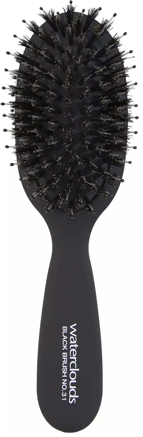 Waterclouds Black Brush Black Brush 31 Boar Bristle and Nylon Mini GWP