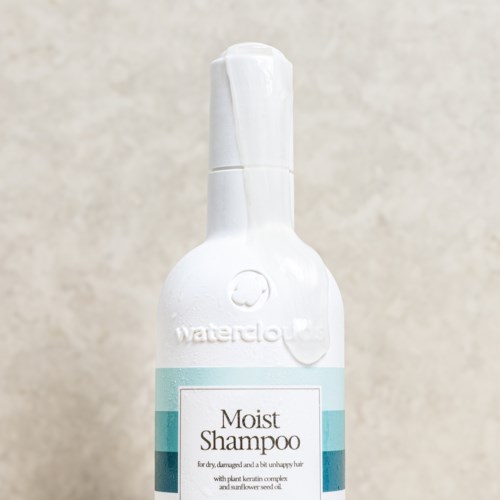 En hvid flaske med låg, mærket "Moist Shampoo" til tørt hår, med blå design.