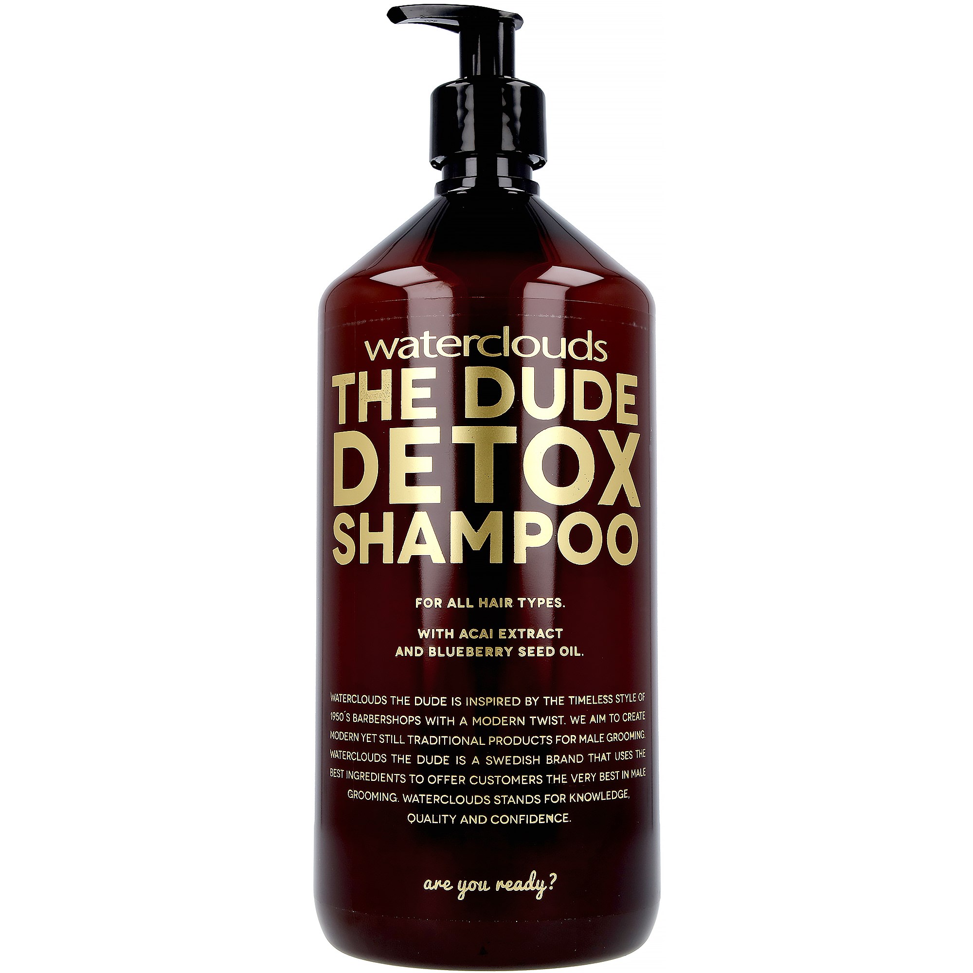 Bilde av Waterclouds The Dude Detox Shampoo 1000 Ml