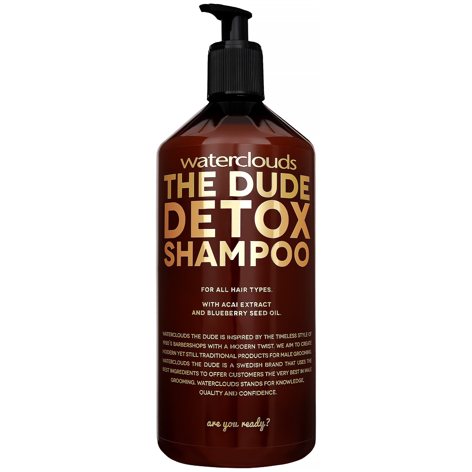 Waterclouds The Dude Detox Shampoo 1000 ml billede