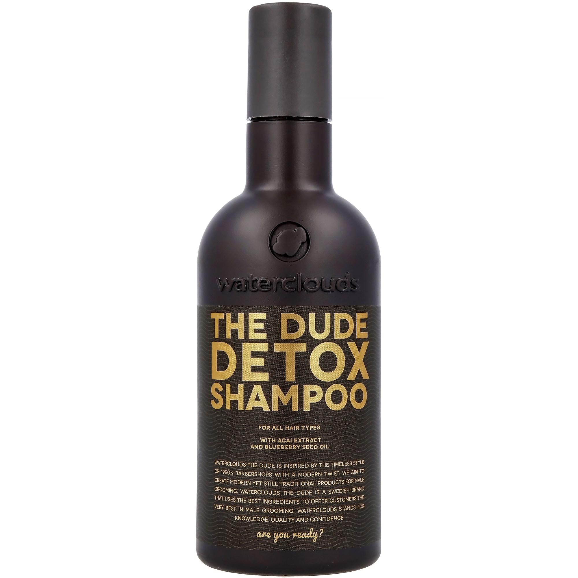 Läs mer om Waterclouds The Dude Detox Shampoo 250 ml