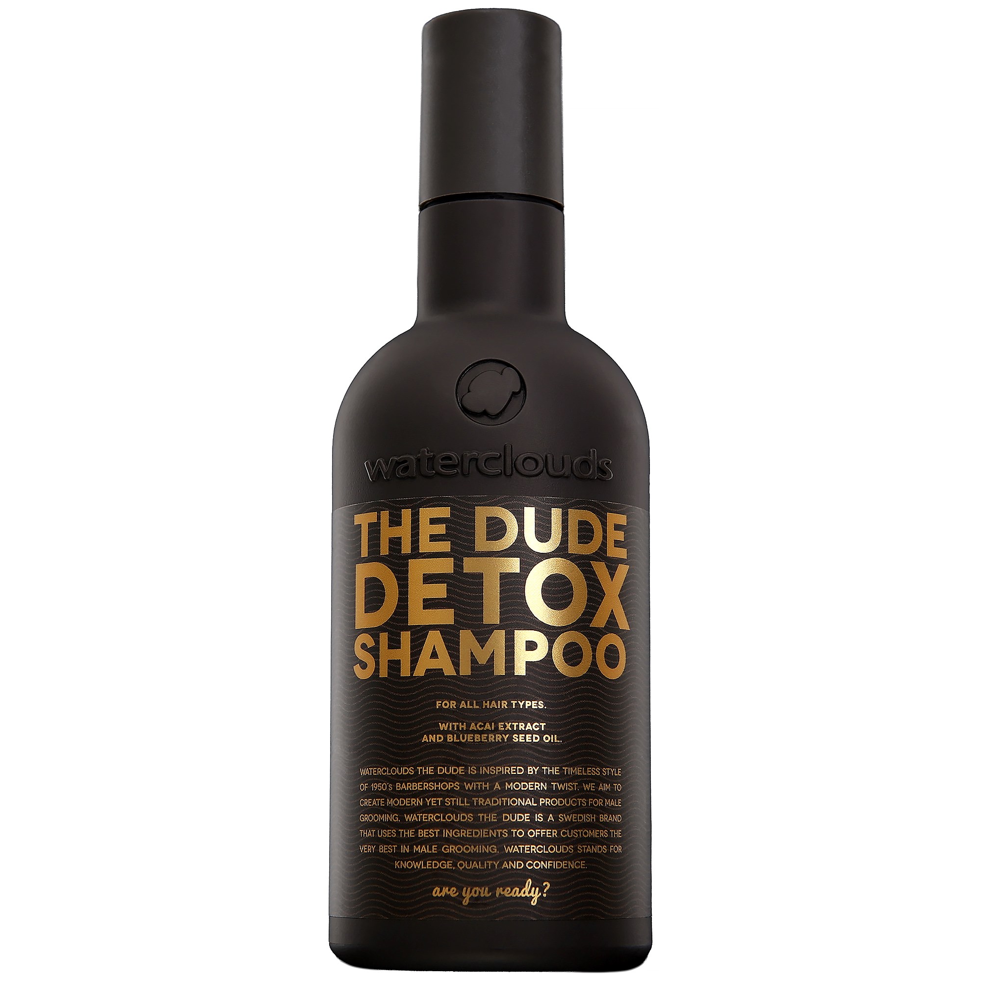 Waterclouds The Dude Detox Shampoo 250 ml billede
