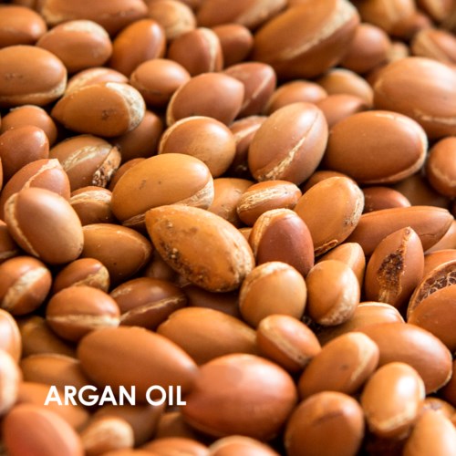 Braune Argankerne füllen das Bild, einige sind aufgebrochen, um die Kerne zu zeigen. Der Text 'ARGAN OIL' ist am unteren Rand.