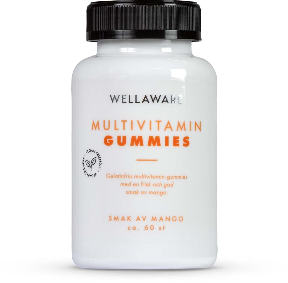 WellAware Multivitamin Gummies 60 st  