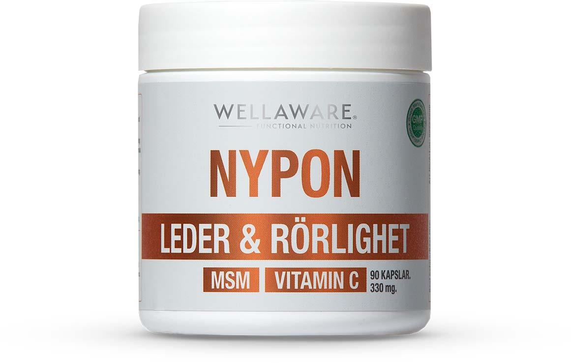 WellAware Nypon+MSM+Vitamin C Kapslar 90 st
