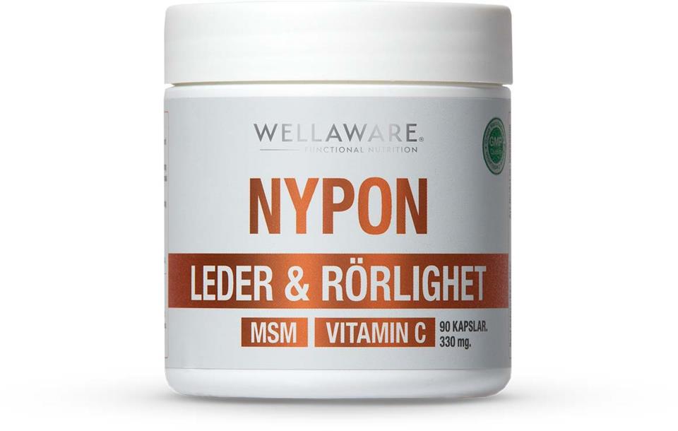 WellAware Nypon+MSM+Vitamin C Kapslar 90 st  