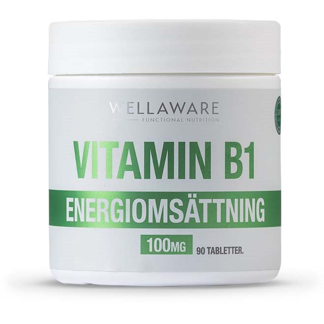 WellAware Vitamin B1 minitabletter  90 st