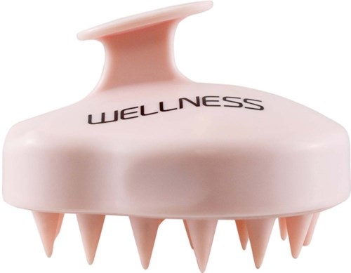 Różne narzędzie do masażu z kolcami i rączką, oznaczone 'WELLNESS.'