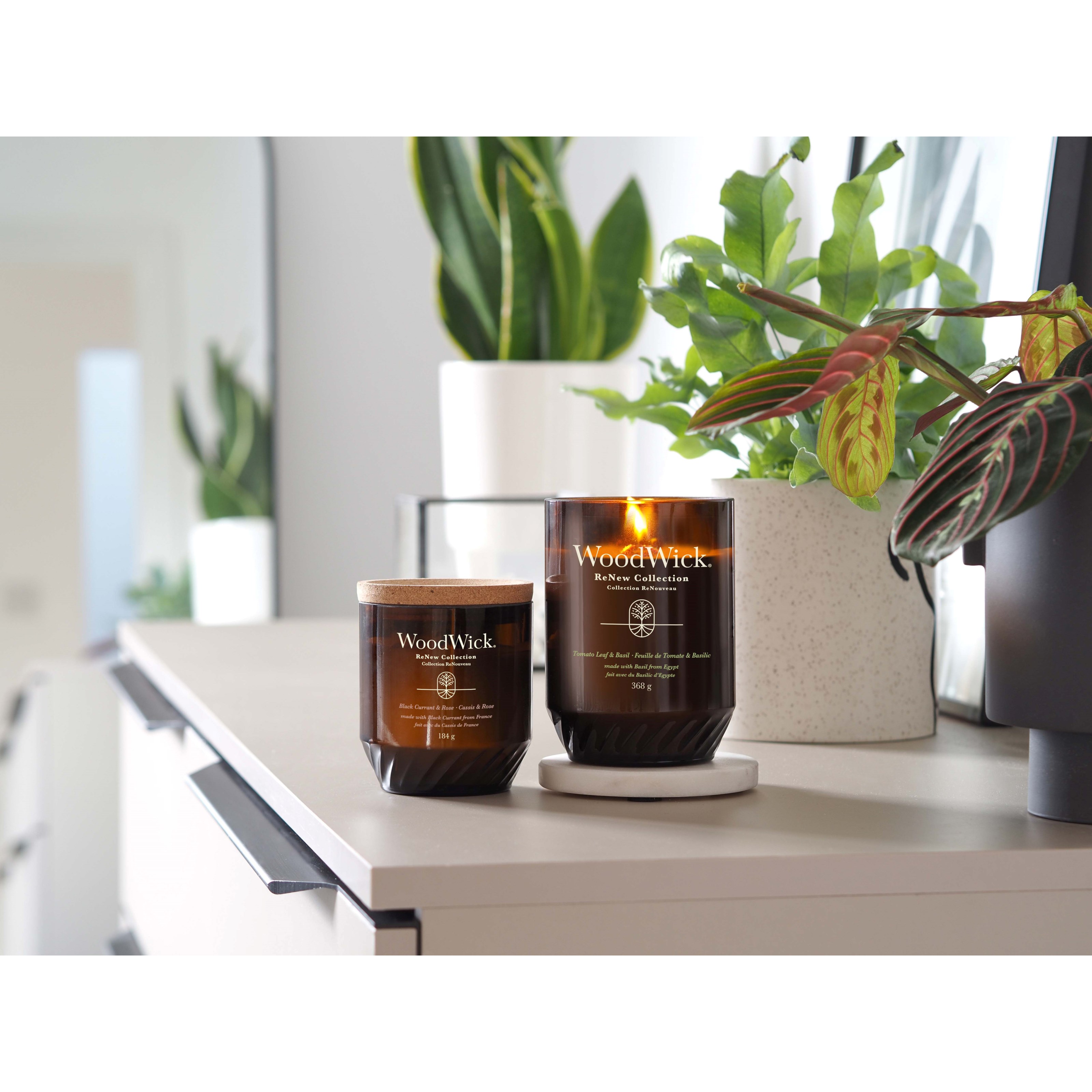 Alternativ bild 1 för WoodWick Tomato Leaf & Basil Renew Candle Large