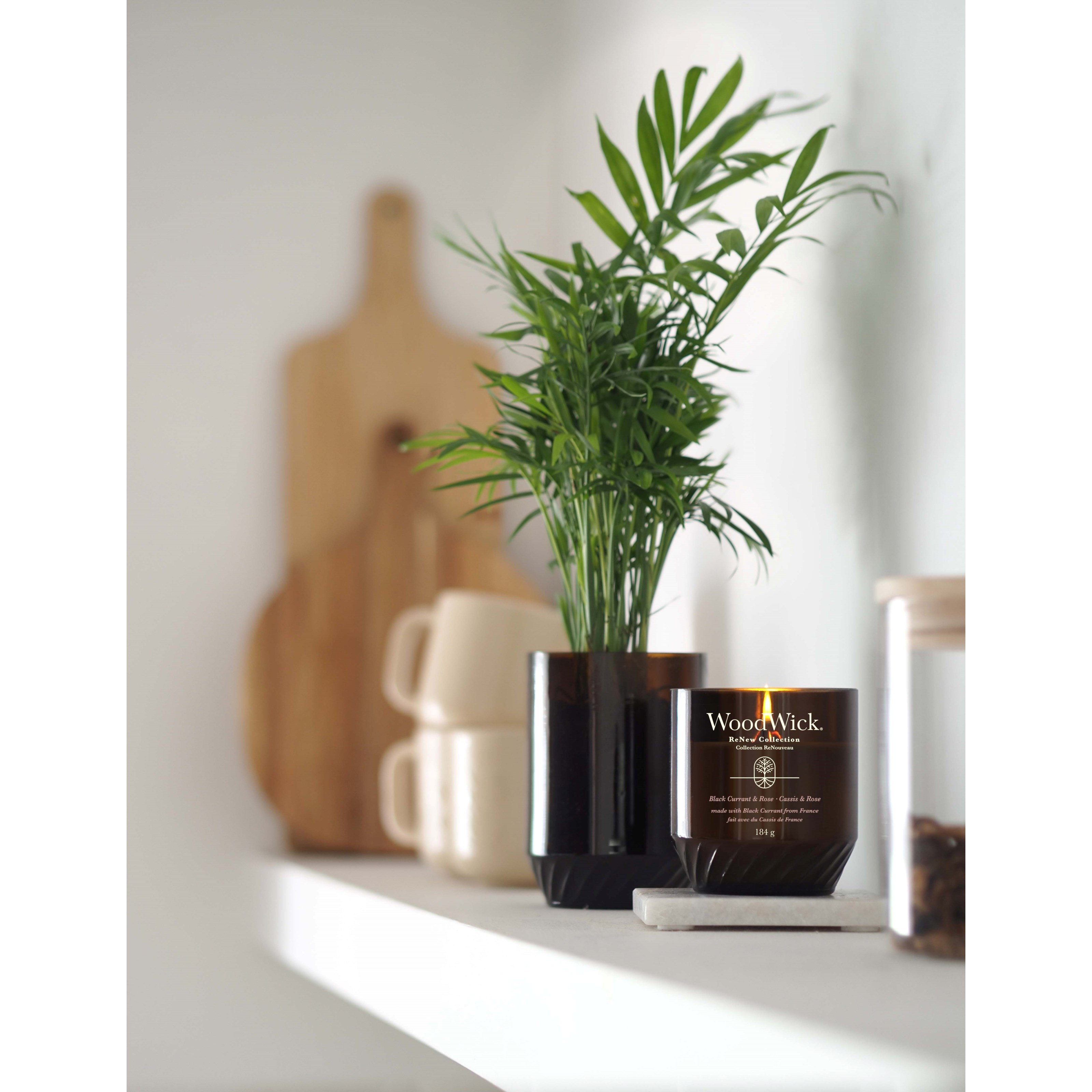 Alternativ bild 1 för Yankee Candle - WW ReNew Medium Candle - Black Currant & Rose