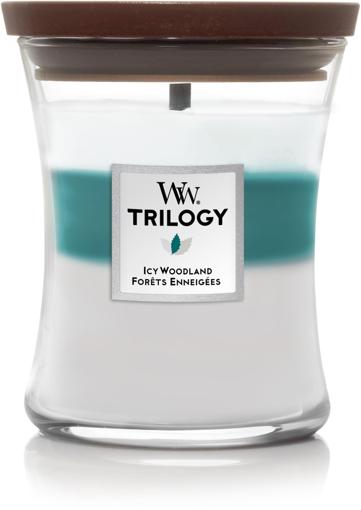 WoodWick Icy Woodland Trilogy Medium Medium
