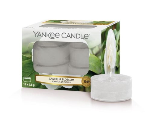 Yankee Candle teater ljus i vitt med kamelia blomma doft, förpackade i en box. Ett ljus utanför boxen.