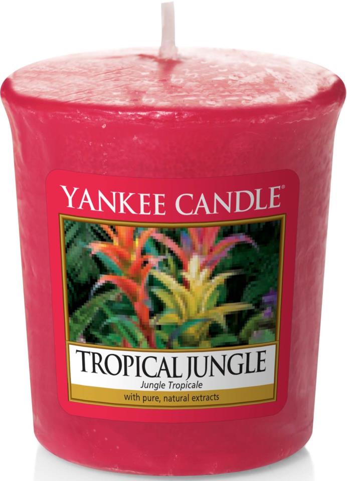 Yankee Candle Votives Tropical Jungle