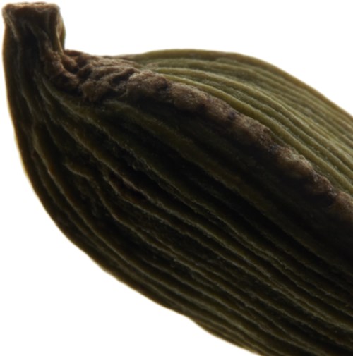 En nära bild av ett mörkgrönt, strukturerat, lager av frö eller växt med en kurvig form.