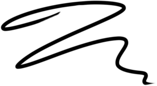 A black, abstract, swirling line on a white background, forming a loose, curvy shape.