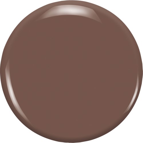 En rund, glänsande, brun sak som liknar en chokladbit eller ett mynt.