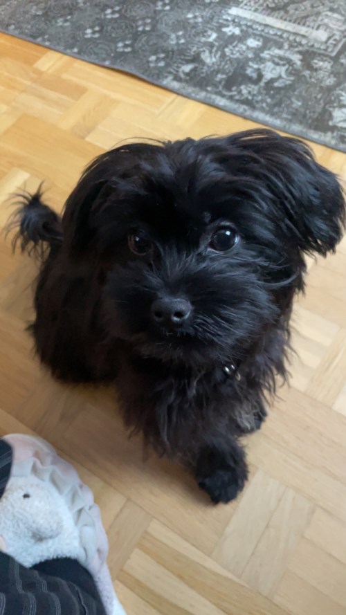 Profiilikuva käyttäjälle: käyttäjä