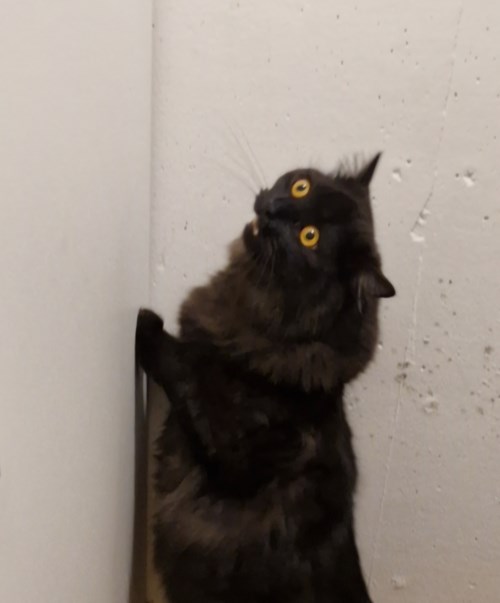 Profielfoto voor: gebruiker